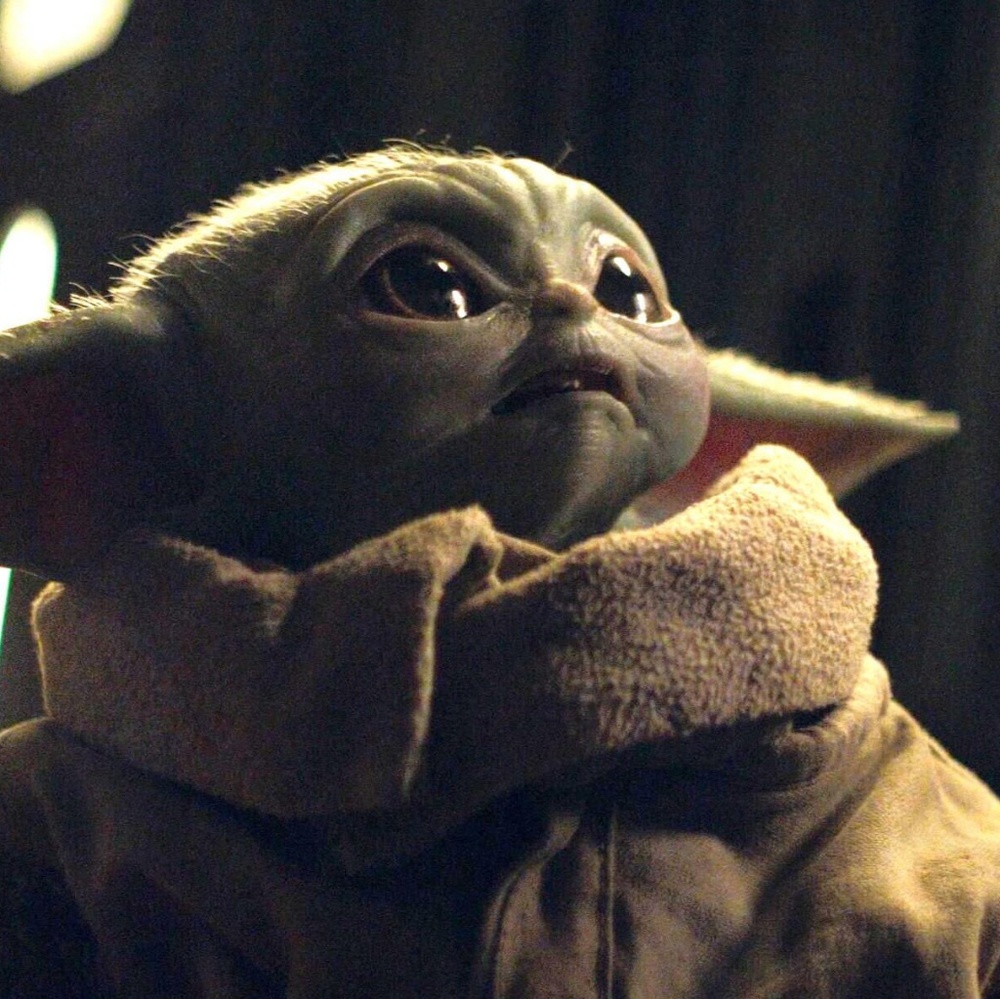 👻Meet Your Posh Ambassador, Jazz👻